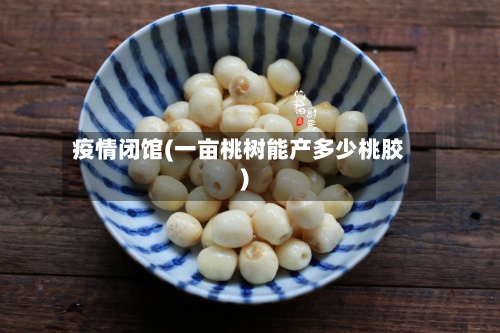疫情闭馆(一亩桃树能产多少桃胶)