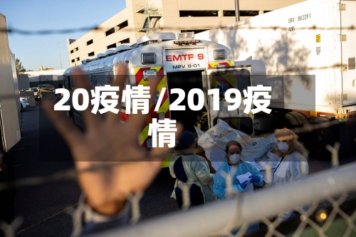 20疫情/2019疫情