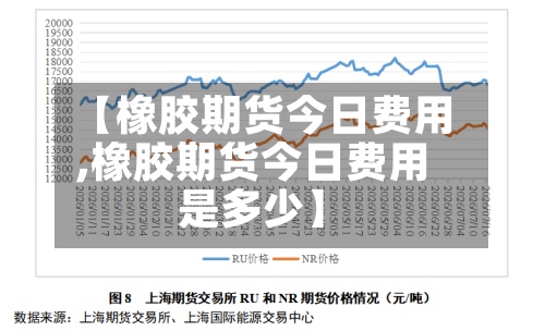 【橡胶期货今日费用,橡胶期货今日费用是多少】