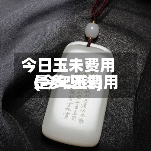 今日玉未费用
(今年玉费用
是多少钱)-第3张图片