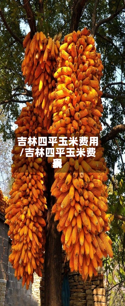 吉林四平玉米费用
/吉林四平玉米费用
表-第2张图片