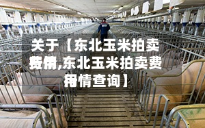 关于【东北玉米拍卖费用
行情,东北玉米拍卖费用
行情查询】-第3张图片