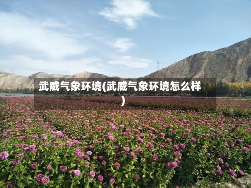 武威气象环境(武威气象环境怎么样)-第2张图片