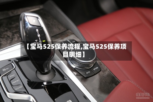 【宝马525保养流程,宝马525保养项目明细】-第2张图片