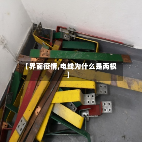 【界面疫情,电线为什么是两根】-第3张图片