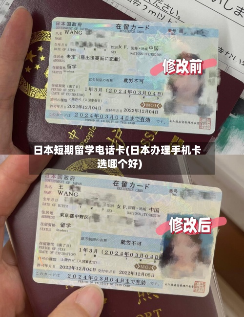 日本短期留学电话卡(日本办理手机卡选哪个好)-第3张图片