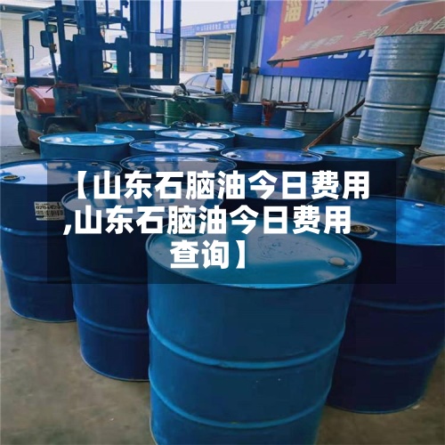 【山东石脑油今日费用,山东石脑油今日费用查询】