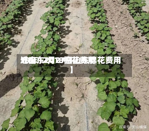 近来
【山东2018棉花费用
19年12月27日山东棉花费用
】-第3张图片