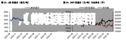 【期货镁费用,LME镁期货】