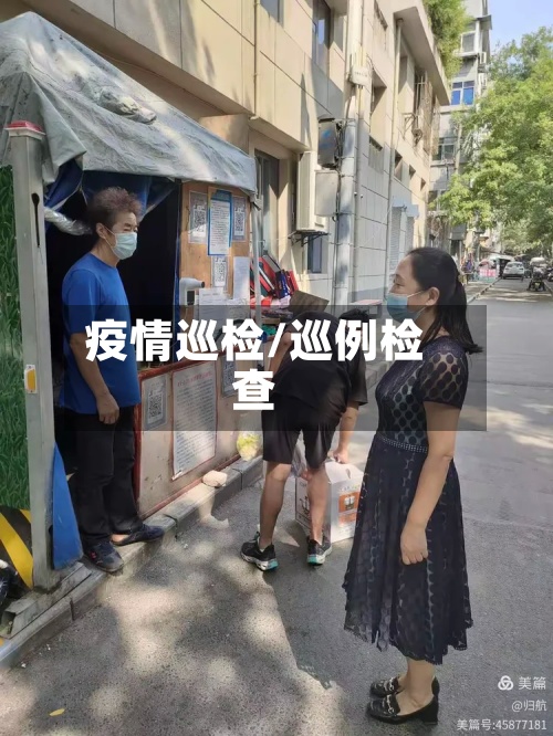 疫情巡检/巡例检查-第2张图片