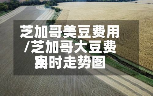 芝加哥美豆费用/芝加哥大豆费用实时走势图