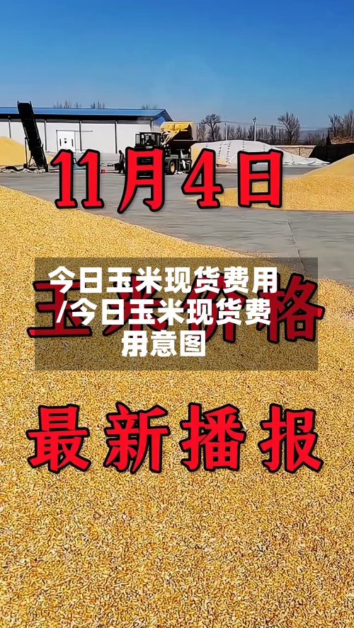 今日玉米现货费用/今日玉米现货费用示意图