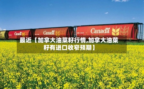 最近【加拿大油菜籽行情,加拿大油菜籽有进口收窄预期】