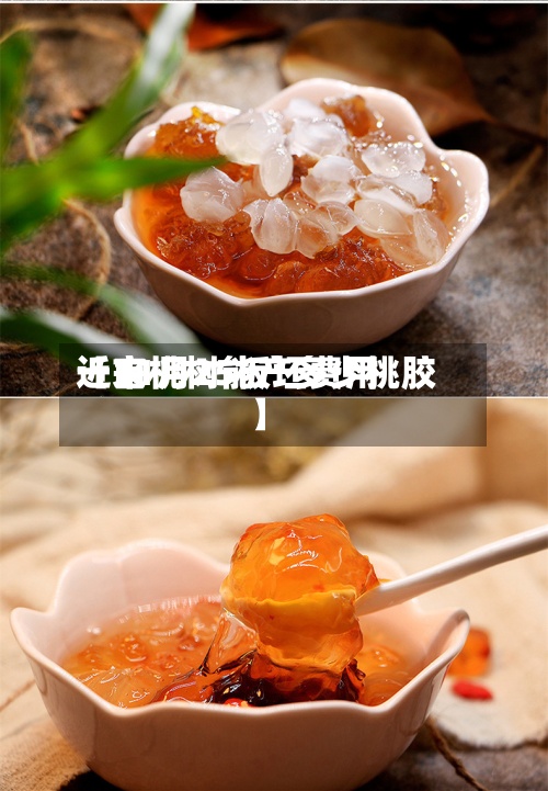 近来【11月25板坯费用一亩桃树能产多少桃胶】