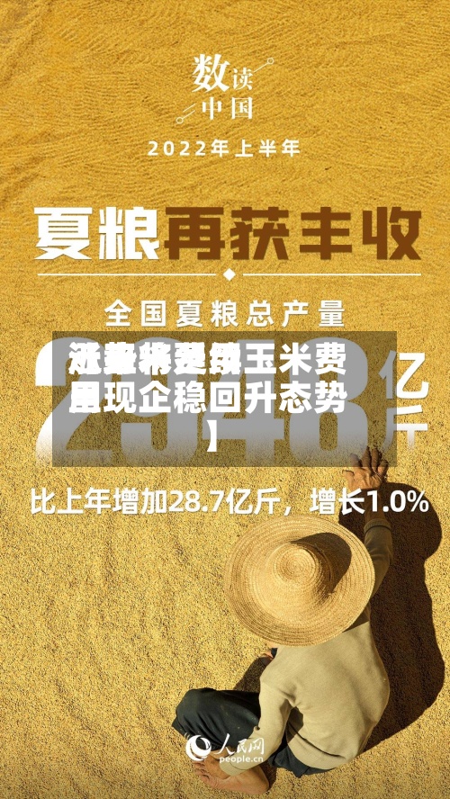 近来
【玉米费用
涨势将延续玉米费用
呈现企稳回升态势】-第2张图片