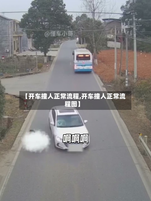 【开车撞人正常流程,开车撞人正常流程图】