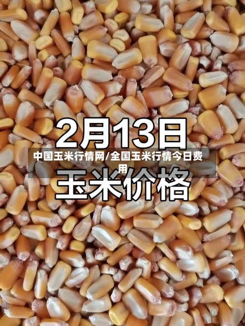 中国玉米行情网/全国玉米行情今日费用
-第2张图片