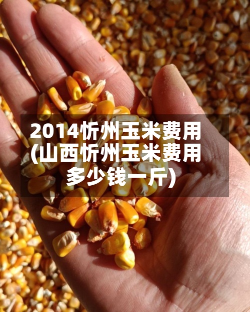 2014忻州玉米费用
(山西忻州玉米费用
多少钱一斤)-第3张图片