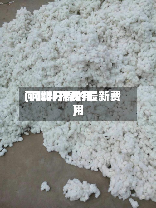河北籽棉费用
(河北籽棉的最新费用
)-第3张图片