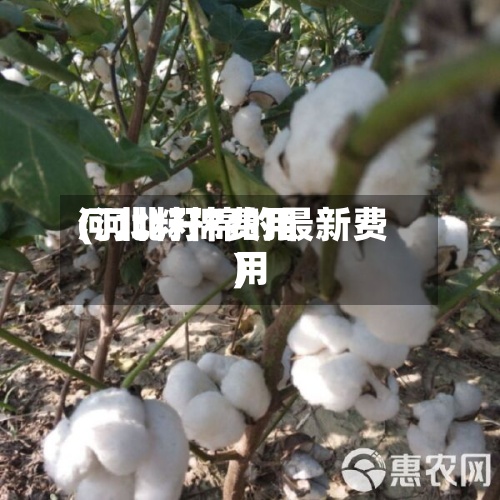 河北籽棉费用
(河北籽棉的最新费用
)-第2张图片
