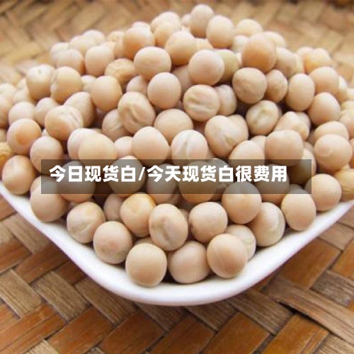 今日现货白/今天现货白很费用