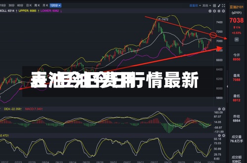 豆油今日费用
表/豆油今日行情最新-第3张图片