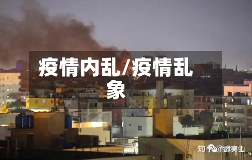 疫情内乱/疫情乱象