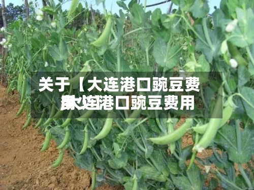 关于【大连港口豌豆费用
,大连港口豌豆费用
多少】-第2张图片
