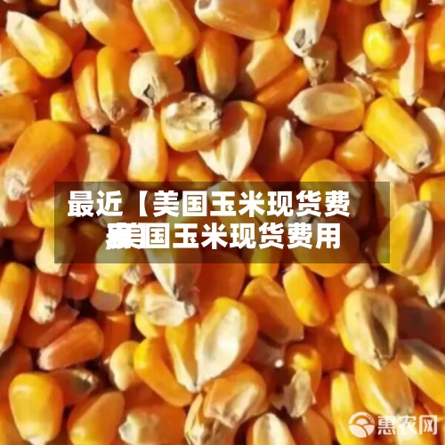 最近【美国玉米现货费用
,美国玉米现货费用
表】-第2张图片