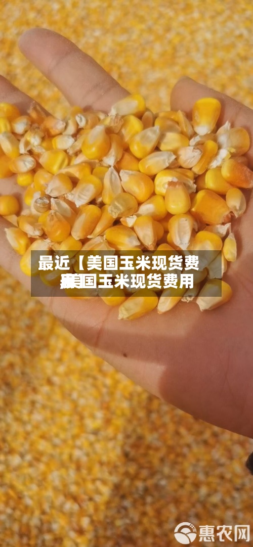 最近【美国玉米现货费用
,美国玉米现货费用
表】-第3张图片