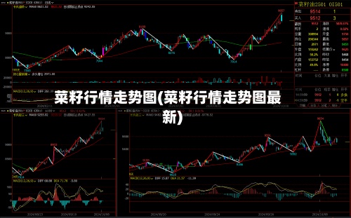 菜籽行情走势图(菜籽行情走势图最新)-第2张图片