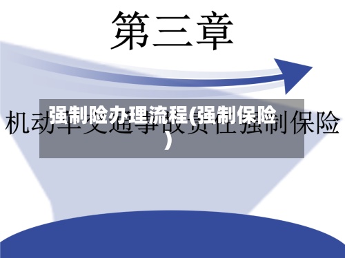 强制险办理流程(强制保险)-第2张图片