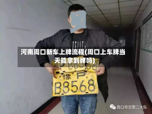 河南周口新车上牌流程(周口上车牌当天能拿到牌吗)-第3张图片