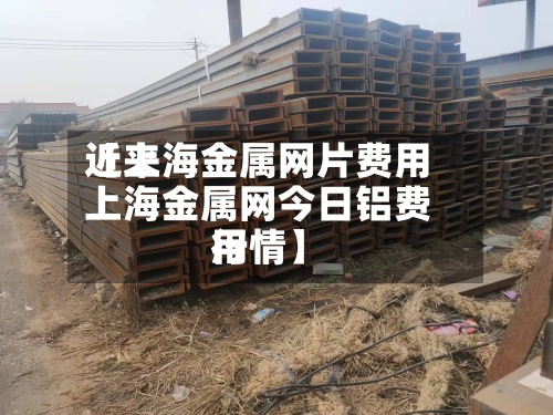 近来
【上海金属网片费用
上海金属网今日铝费用
行情】-第2张图片