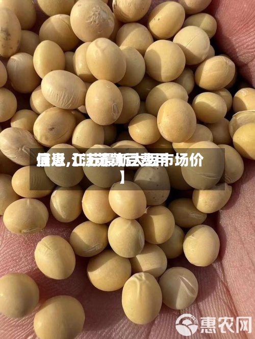 最近【江苏黄豆费用
信息,江苏最新大豆市场价】-第2张图片