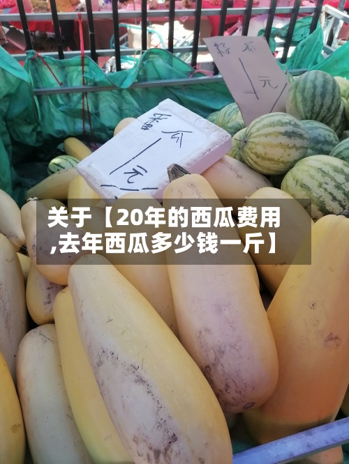 关于【20年的西瓜费用
,去年西瓜多少钱一斤】-第3张图片