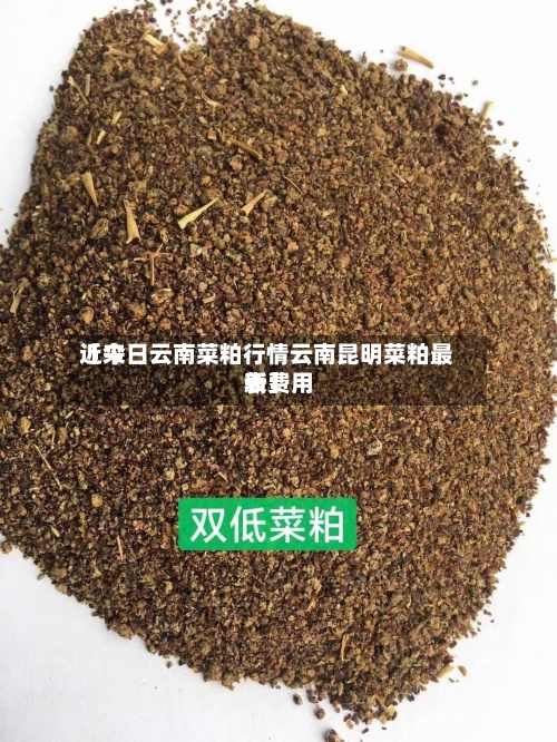 近来【今日云南菜粕行情云南昆明菜粕最新费用表】