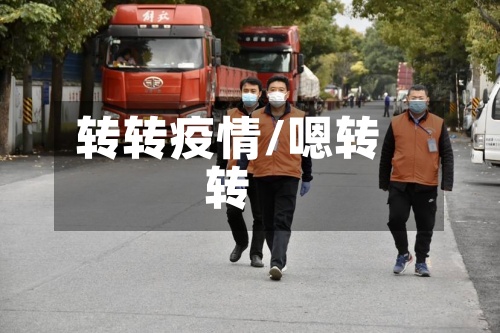 转转疫情/嗯转转