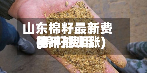 山东棉籽最新费用
(棉籽费用
能不能上涨)-第3张图片