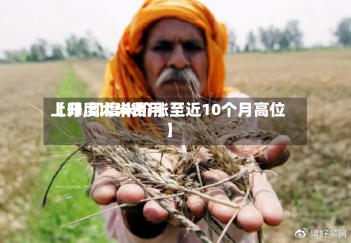 【印度大米费用
上升,印度米价涨至近10个月高位】-第2张图片