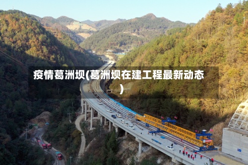 疫情葛洲坝(葛洲坝在建工程最新动态)