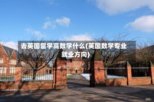 去英国留学高数学什么(英国数学专业就业方向)