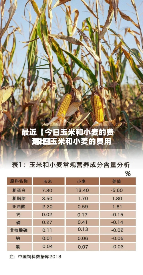 最近【今日玉米和小麦的费用,今日玉米和小麦的费用对比】