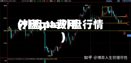 外盘pta费用(外盘pta外盘行情)