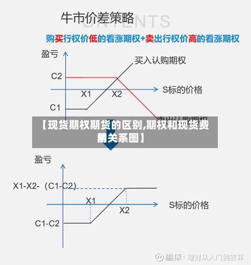 【现货期权期货的区别,期权和现货费用的关系图】