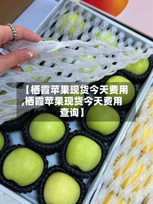 【栖霞苹果现货今天费用,栖霞苹果现货今天费用查询】