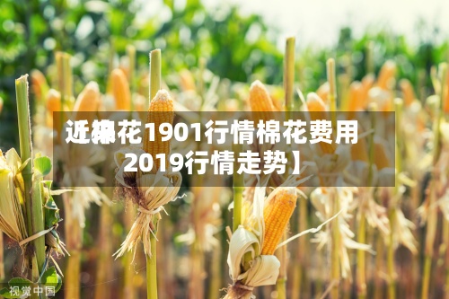 近来
【棉花1901行情棉花费用
2019行情走势】-第3张图片
