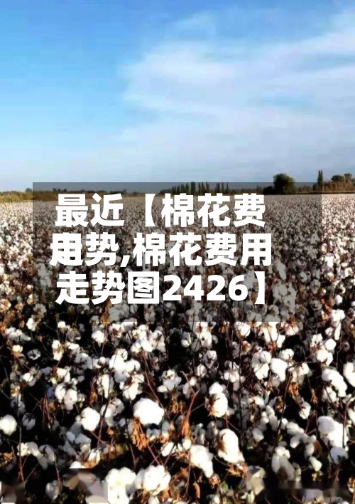 最近【棉花费用走势,棉花费用走势图2426】