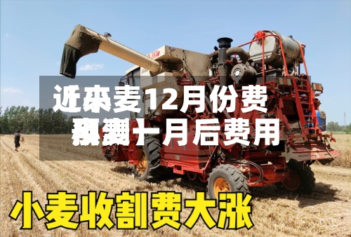 近来
【小麦12月份费用
小麦一月后费用
预测】-第3张图片