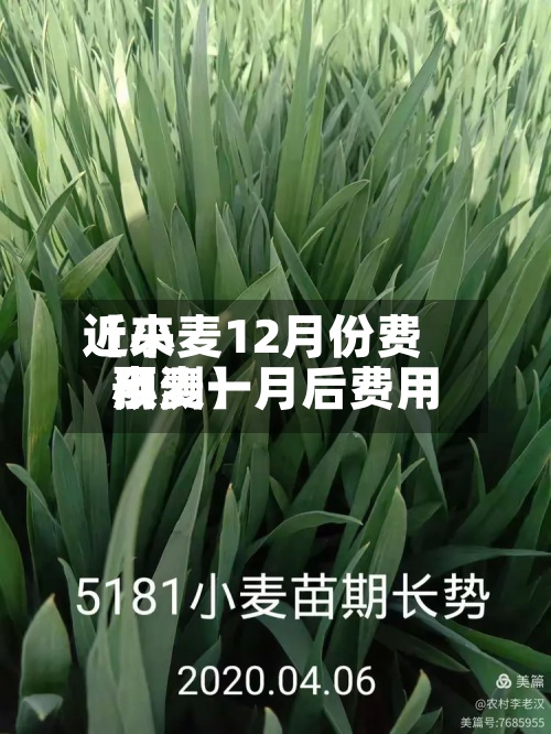 近来
【小麦12月份费用
小麦一月后费用
预测】-第2张图片